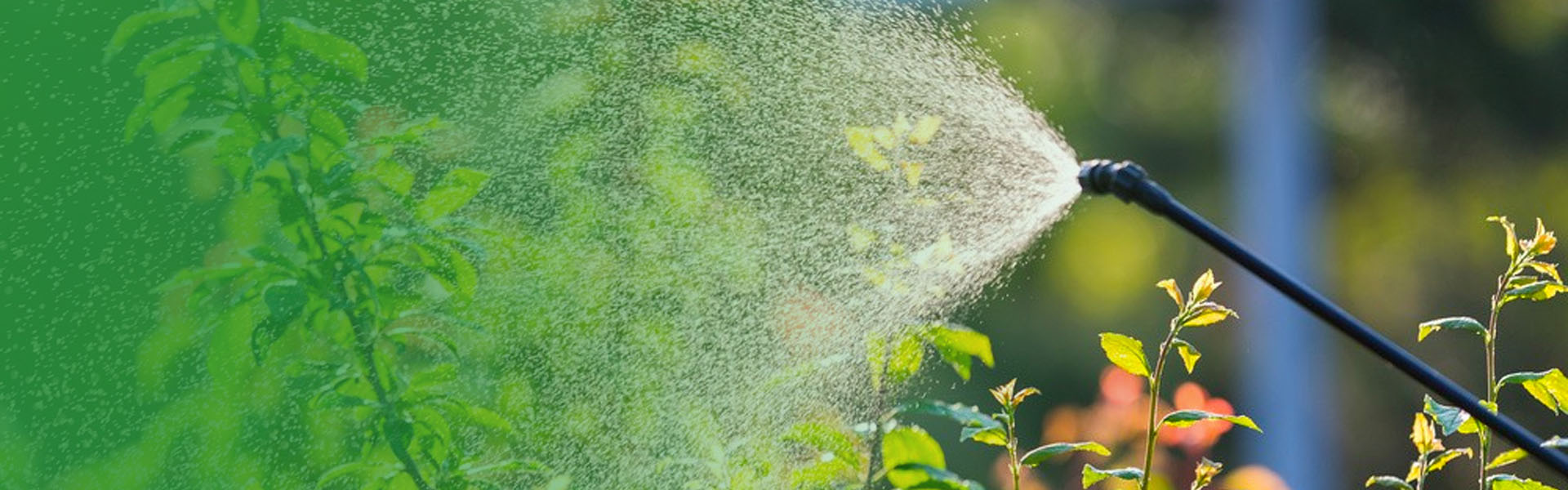 Apa perbedaan antara blower kabut dan penyemprot daya?